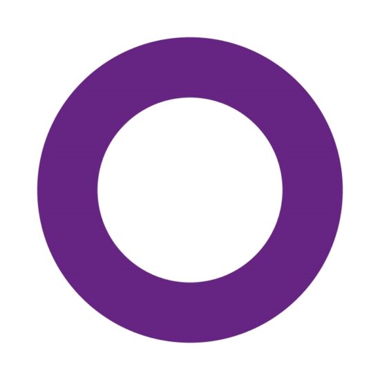 DYE_Paintball_Markierer_O-RING_010_BN70_R10200094_shematic