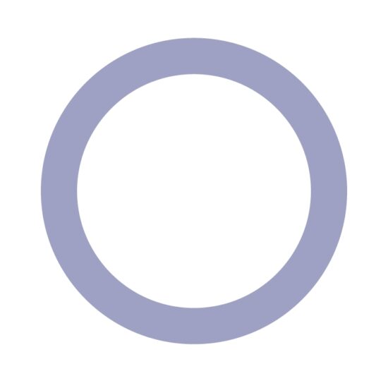 DYE_Paintball_Markierer_O-RING_015_BN90_R10200081_Shematics