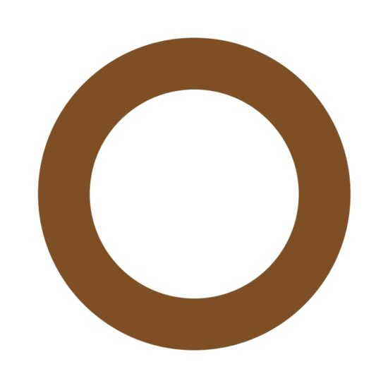 DYE_Paintball_Markierer_Ersatz_O-RING_111_BN70_R10200118_shematic