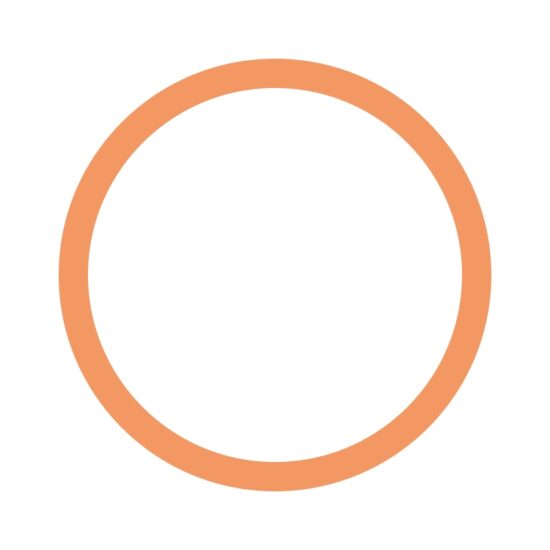 DYE_Paintball_Markierer_O-RING_017_BN70_R10200187_shematic